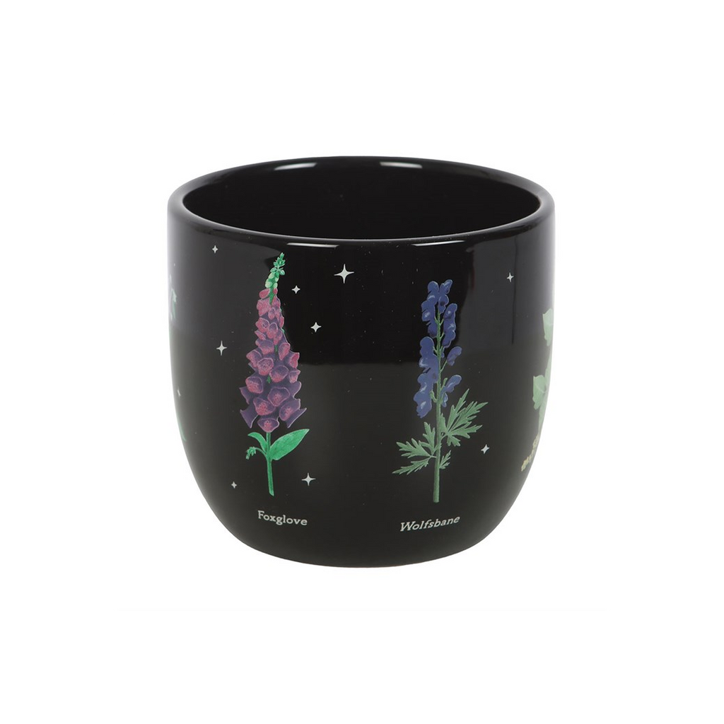 Poisonous Plants Plant Pot