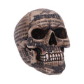 Dracula's Tale Vampire Novel Quote Skull