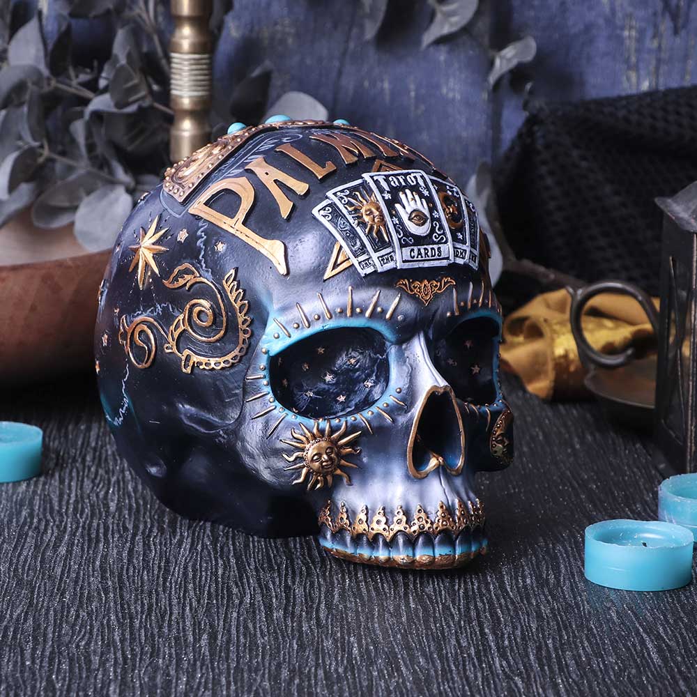 Destiny Palmistry Skull 18cm