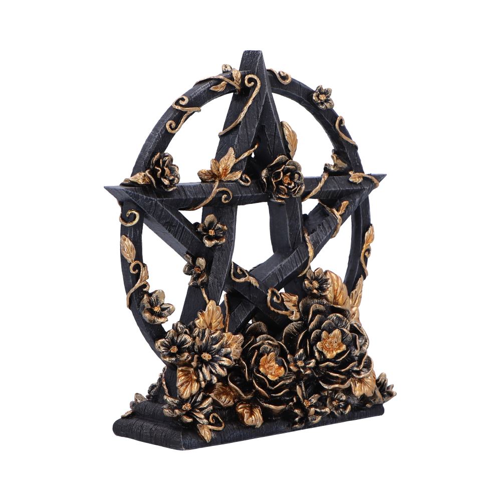 Dark Floral Decorative Pentagram Ornament