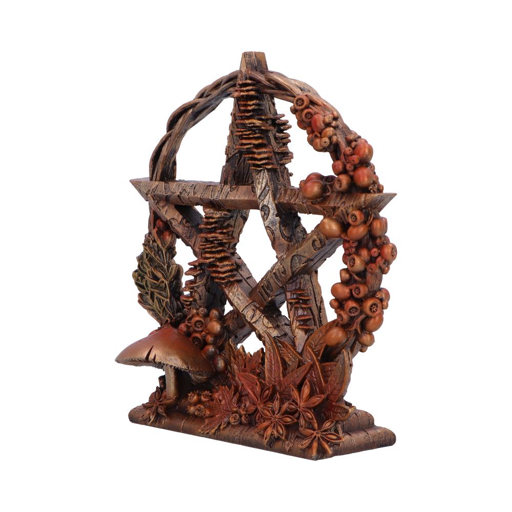 Autmnal Floral Decorative Pentagram Ornament