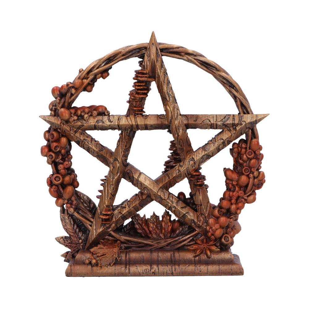 Autmnal Floral Decorative Pentagram Ornament