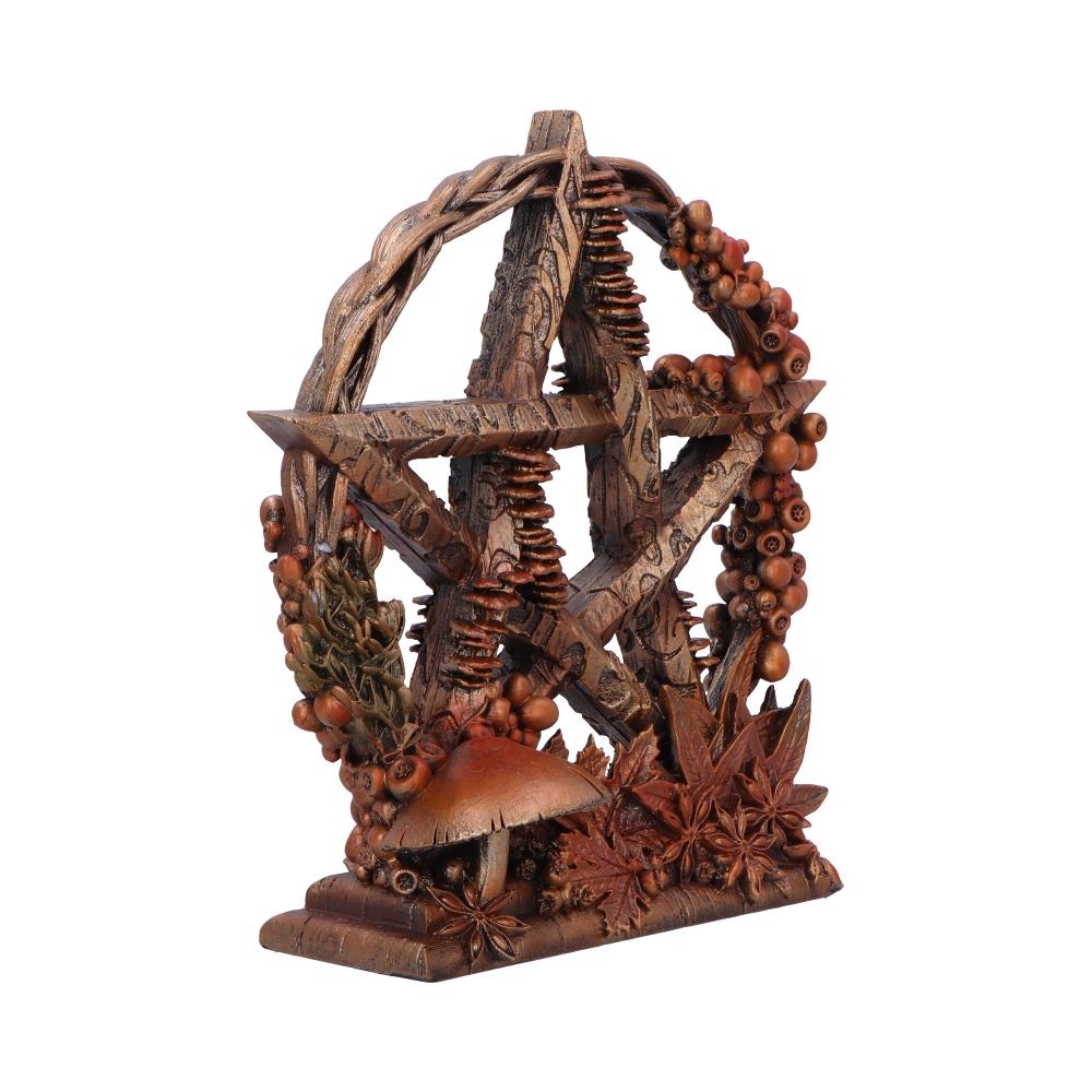 Autmnal Floral Decorative Pentagram Ornament