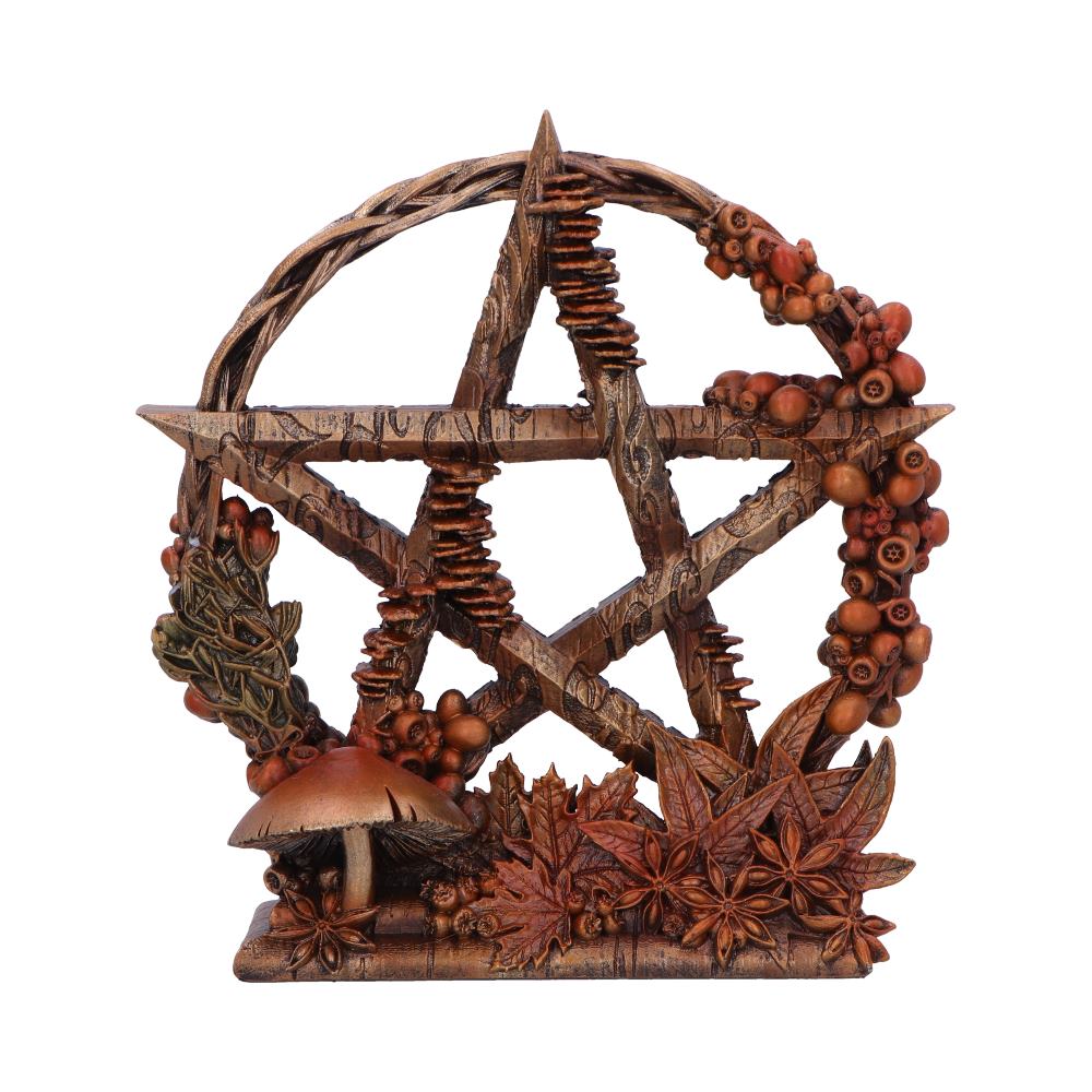 Autmnal Floral Decorative Pentagram Ornament