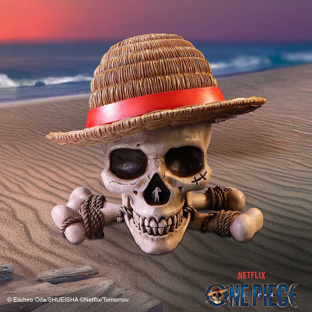 One Piece Luffy Jolly Roger Box