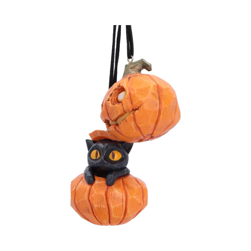 Pumpkin and Patch Halloween Hanging Ornaments (Set of 2) 7.7cm