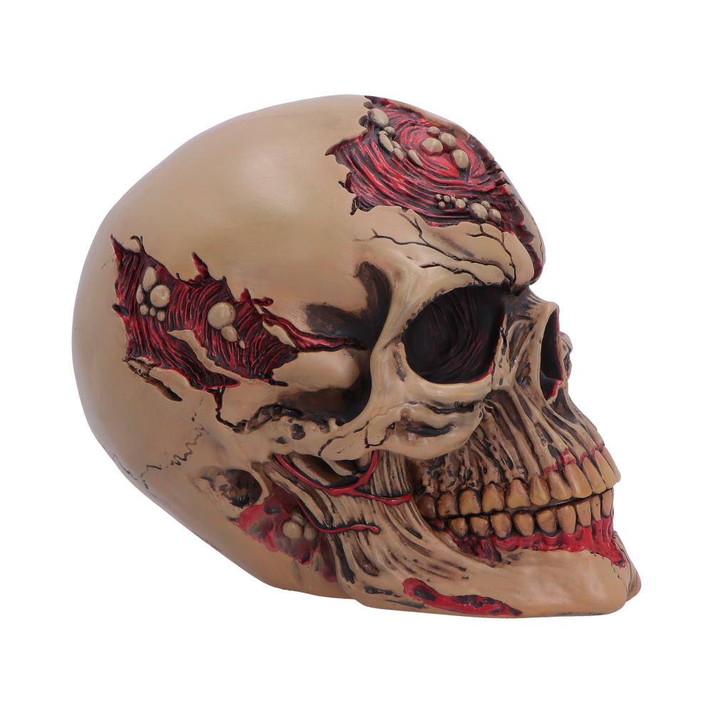 The Walker of Death Zombie Skull 15.5cm