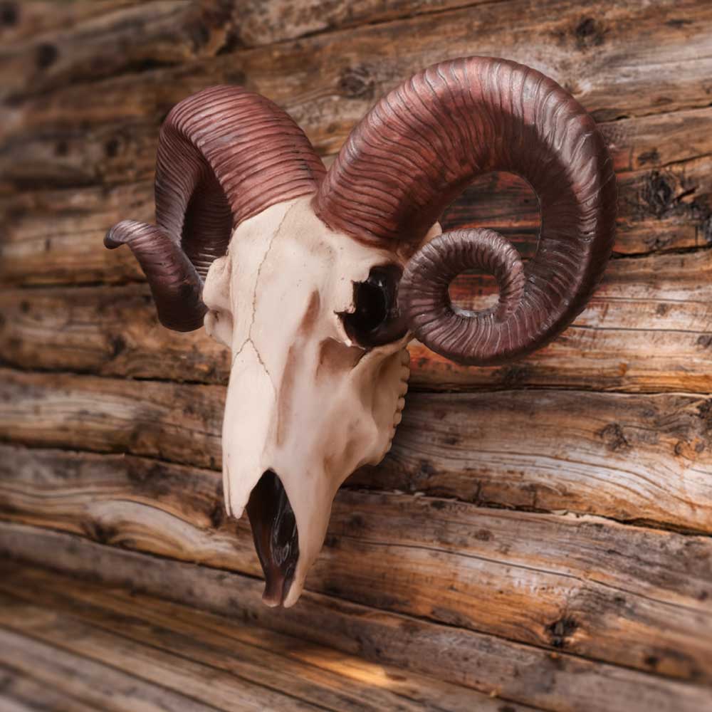 Realistic Wall Mounted Rams Skull