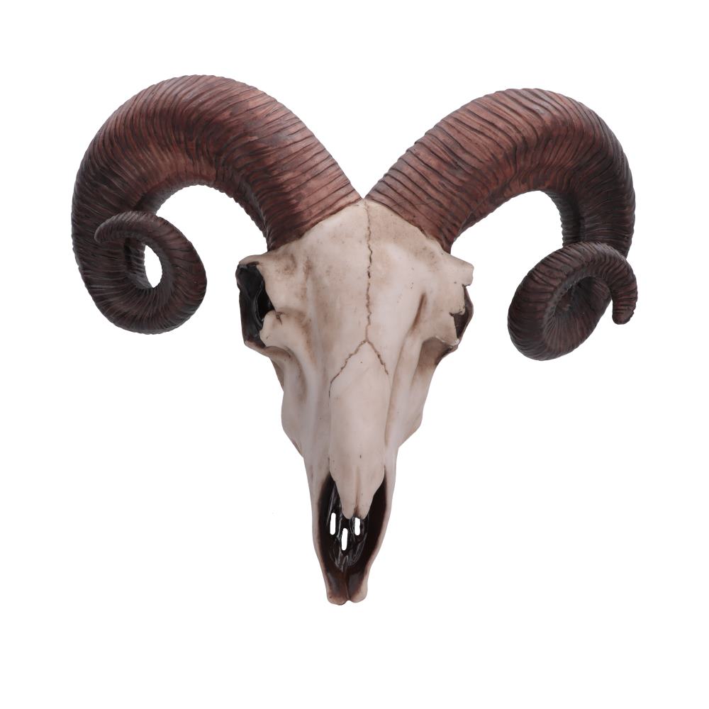 Realistic Wall Mounted Rams Skull