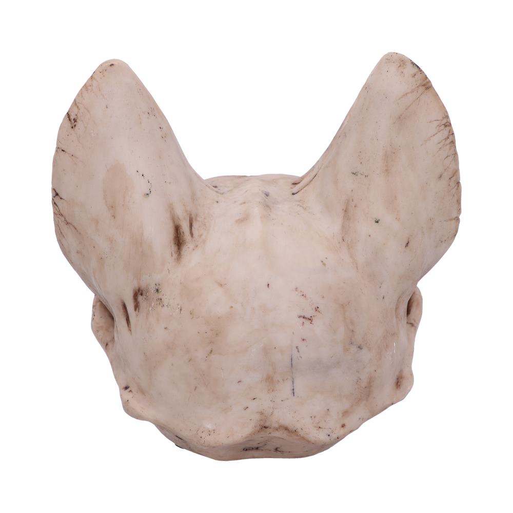 Bastet's Secret Cat Skull Figurine Ornament