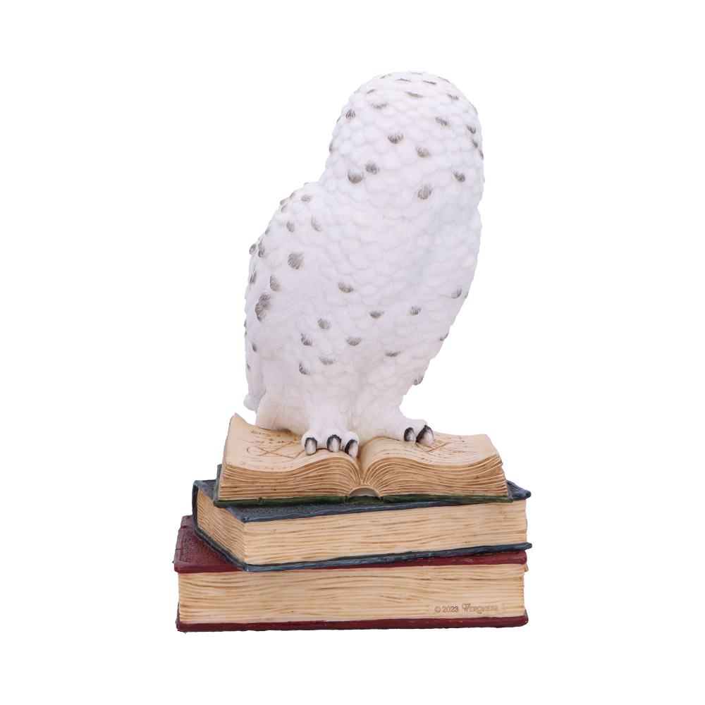 Library of Wisdom White Owl Figurine