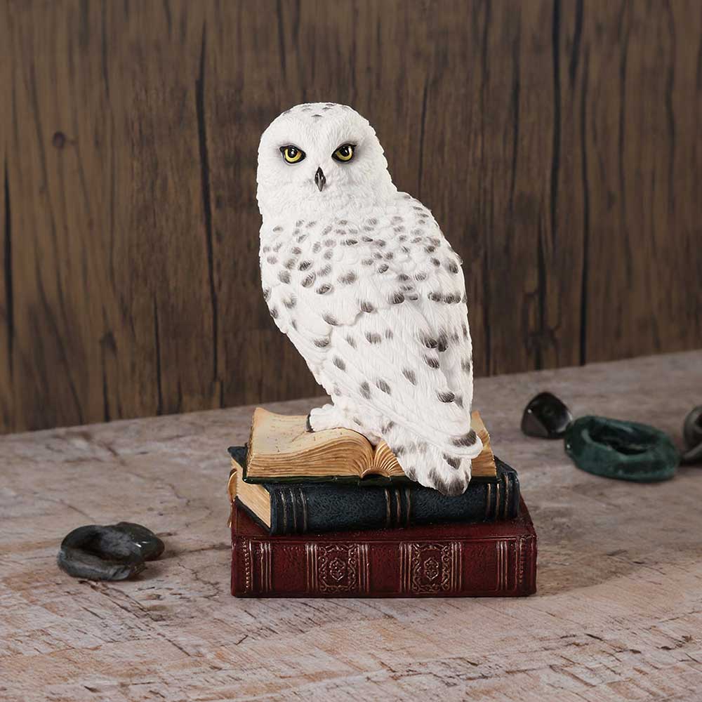 Library of Wisdom White Owl Figurine