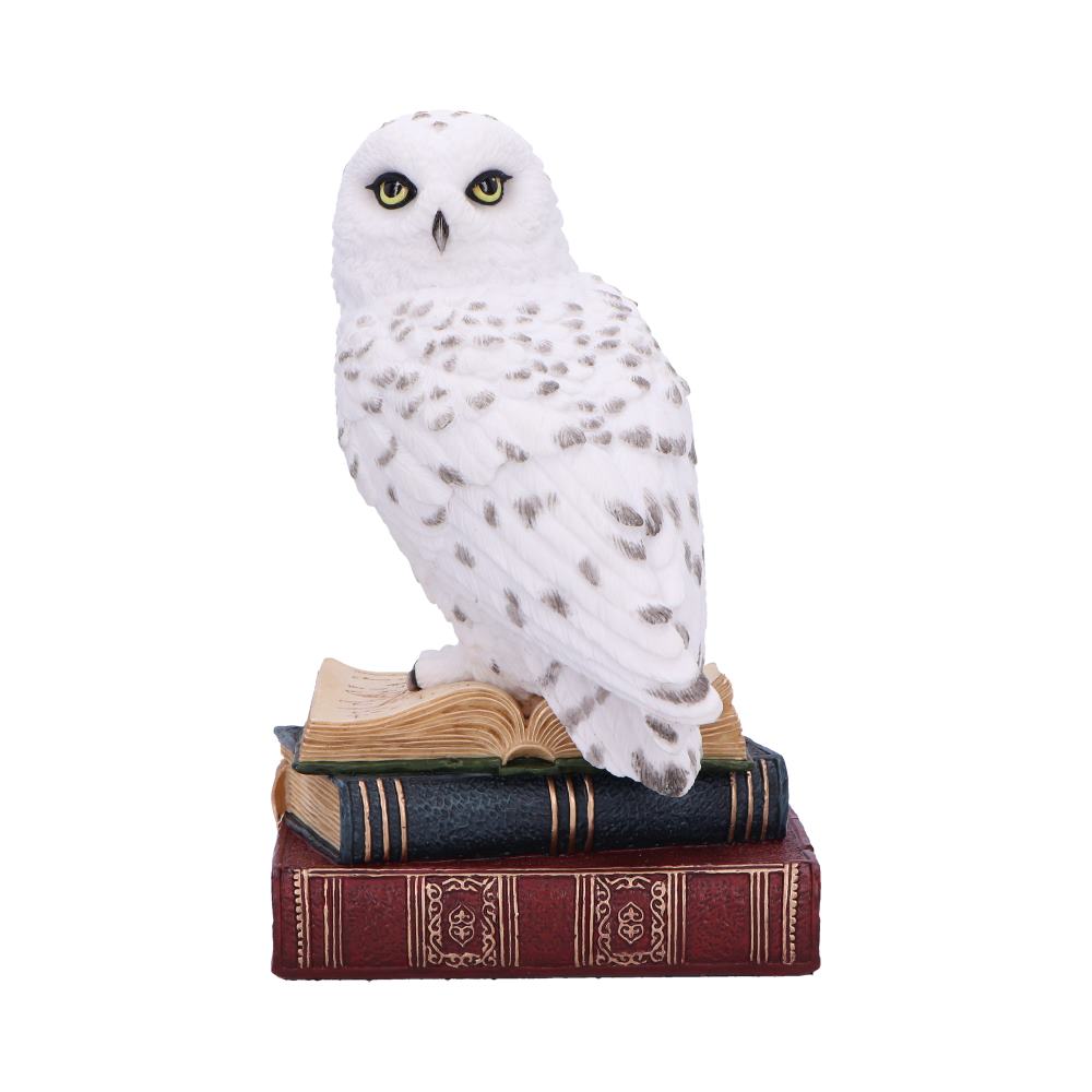 Library of Wisdom White Owl Figurine