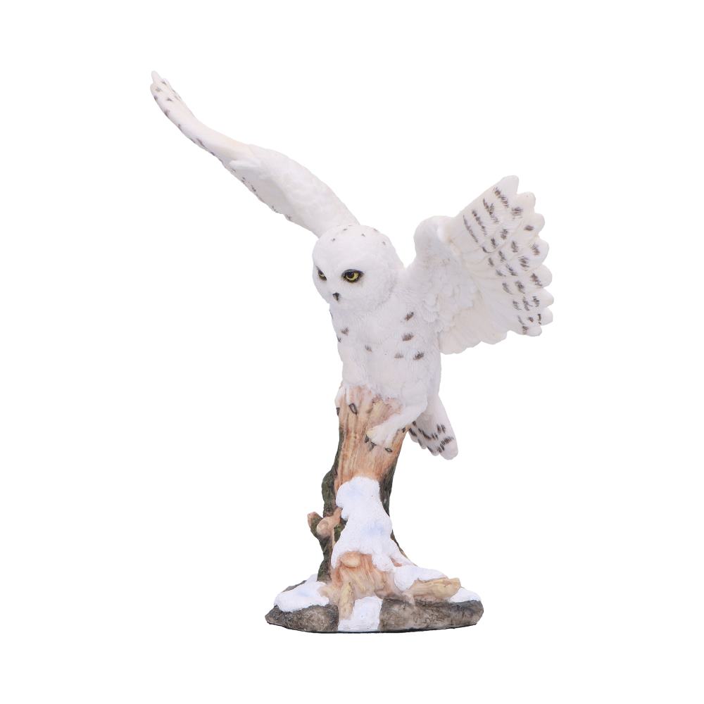 Snowfall - Majestic owl in winter scene