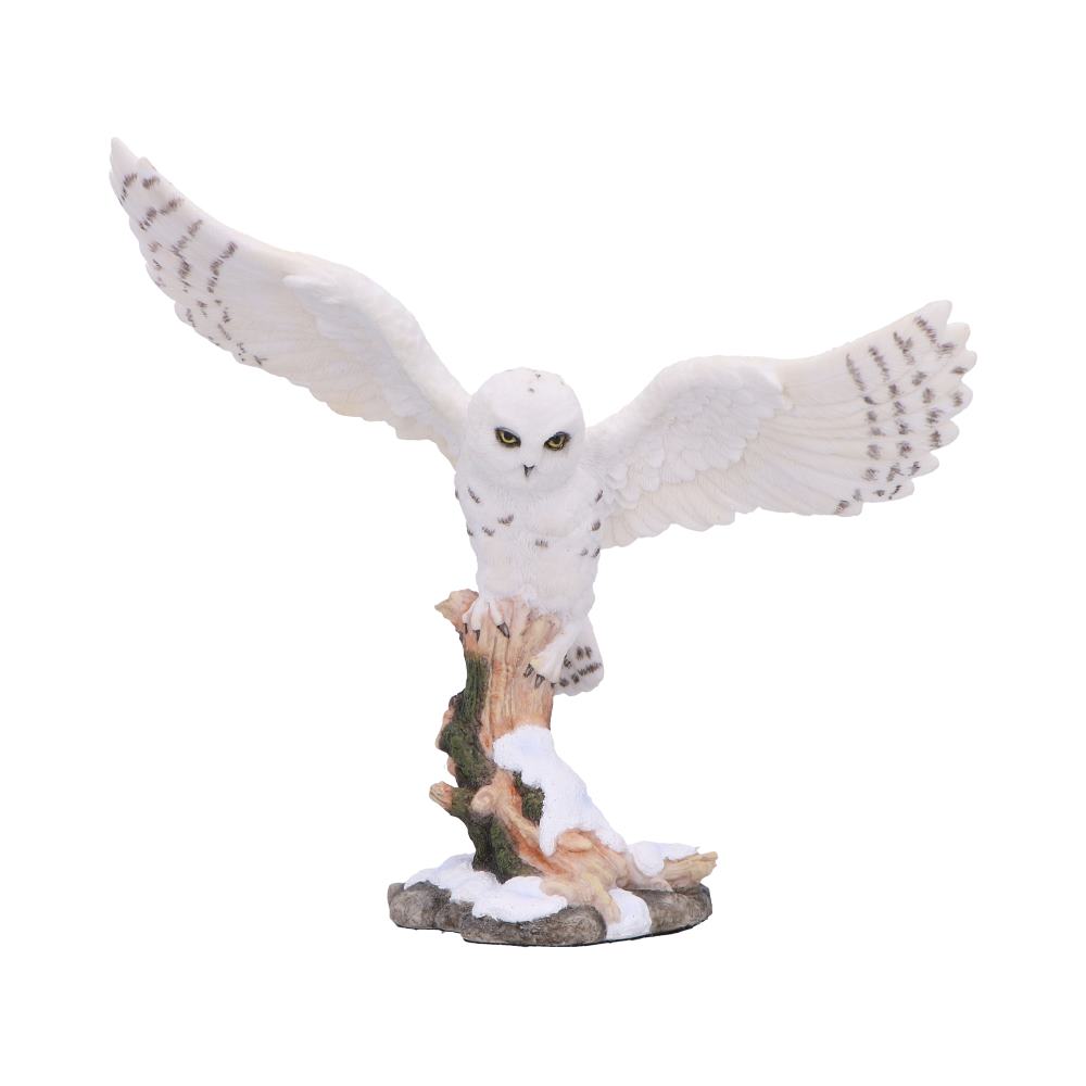 Snowfall - Majestic owl in winter scene
