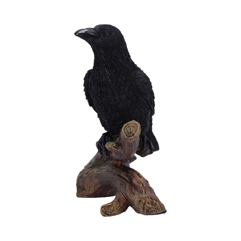 Ravens Perch Resin Figurine