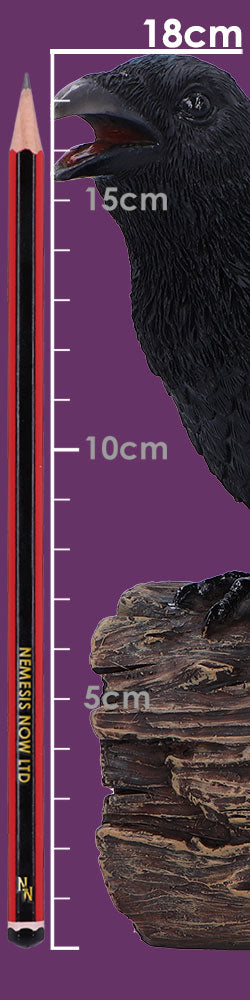 Ravens Cry With Motion Activated Sound