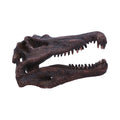 Spinosaurus Skull Resin Replica