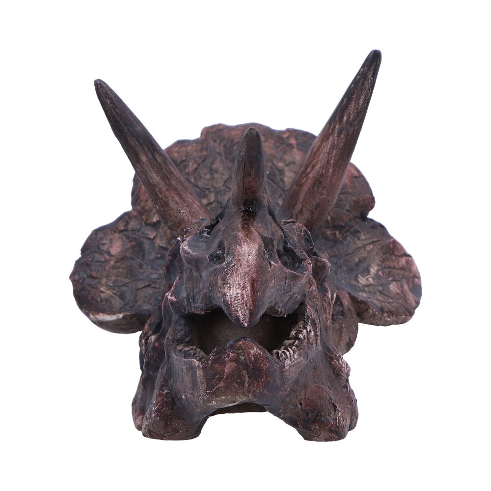 Triceratops Skull Resin Replica