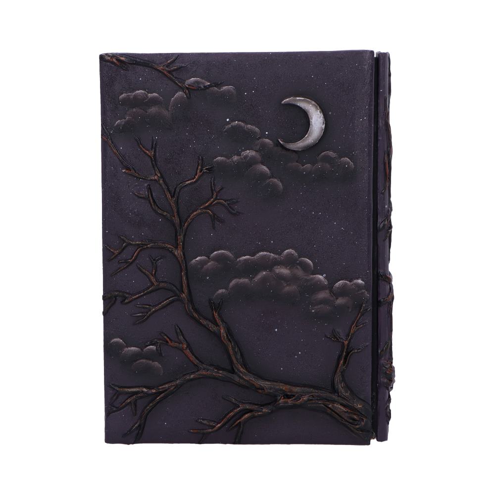 Raven's Grimoire Journal 19cm