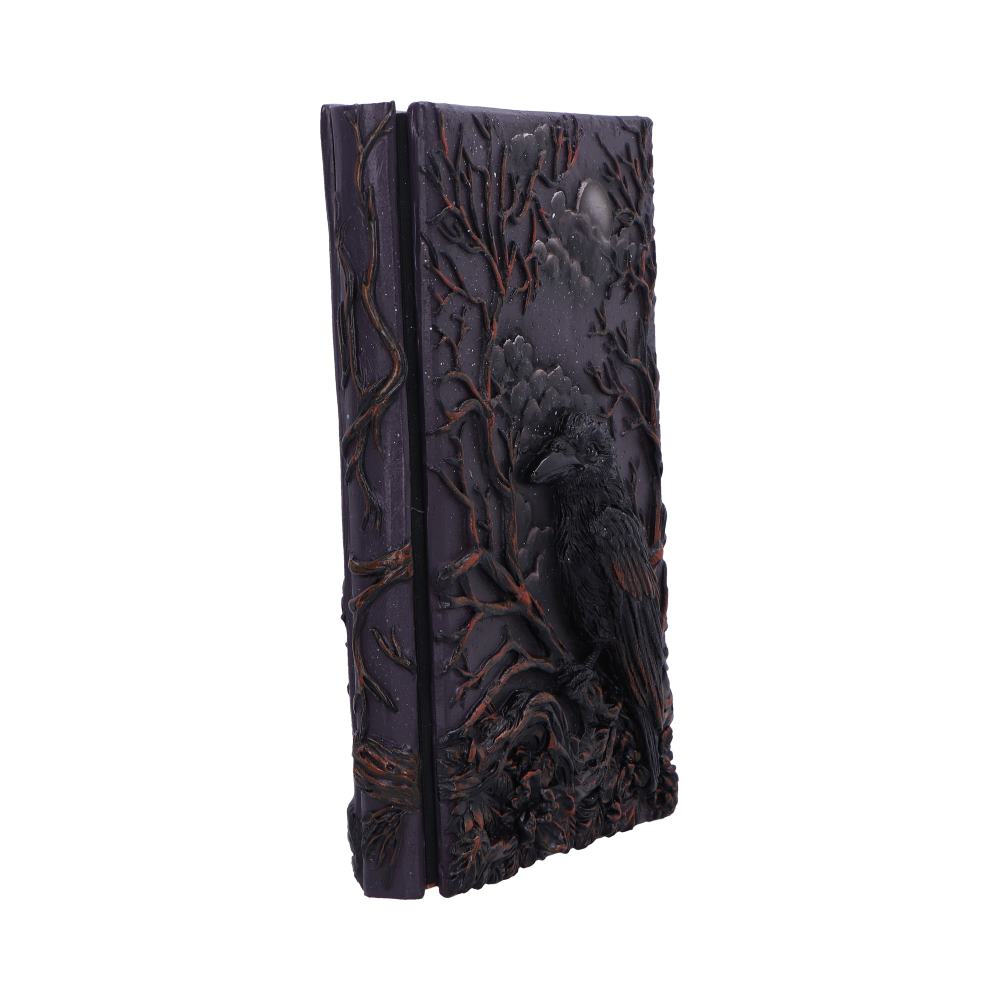Raven's Grimoire Journal 19cm