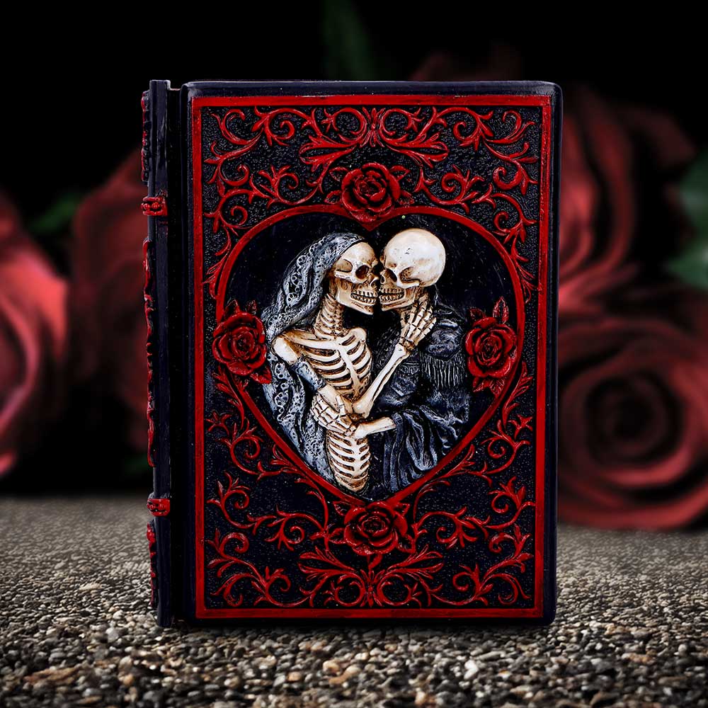 Raven's Grimoire Journal 19cm