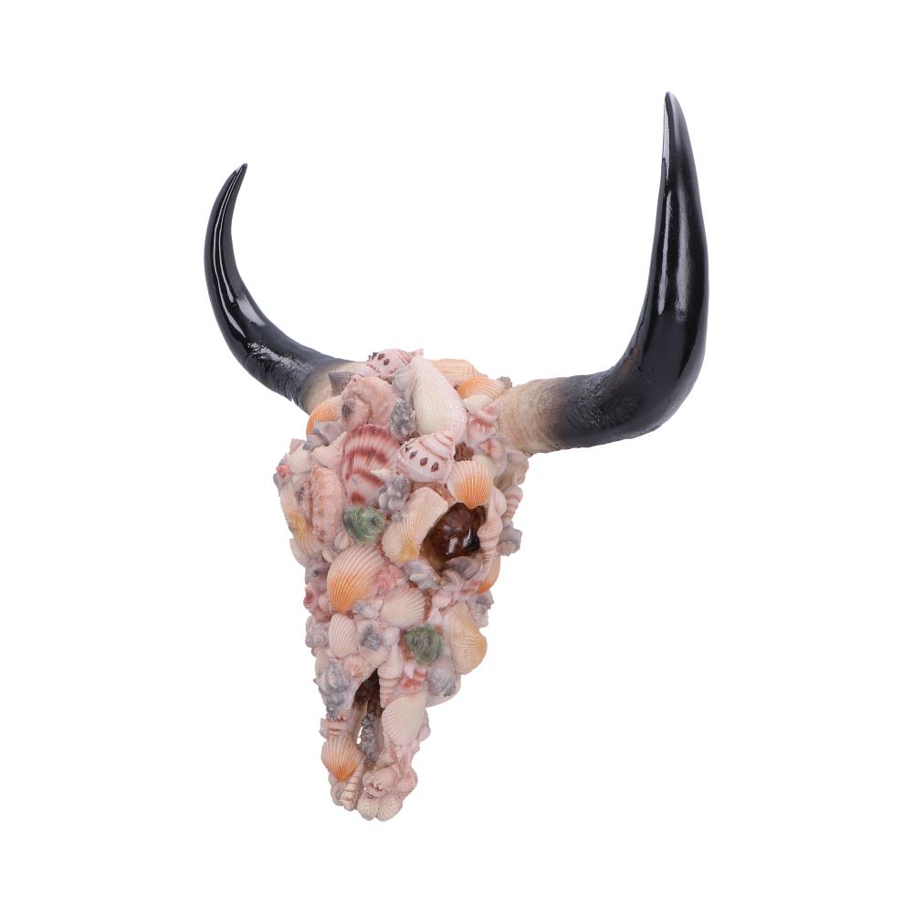 Ocean Crown Skull Ornament 44cm