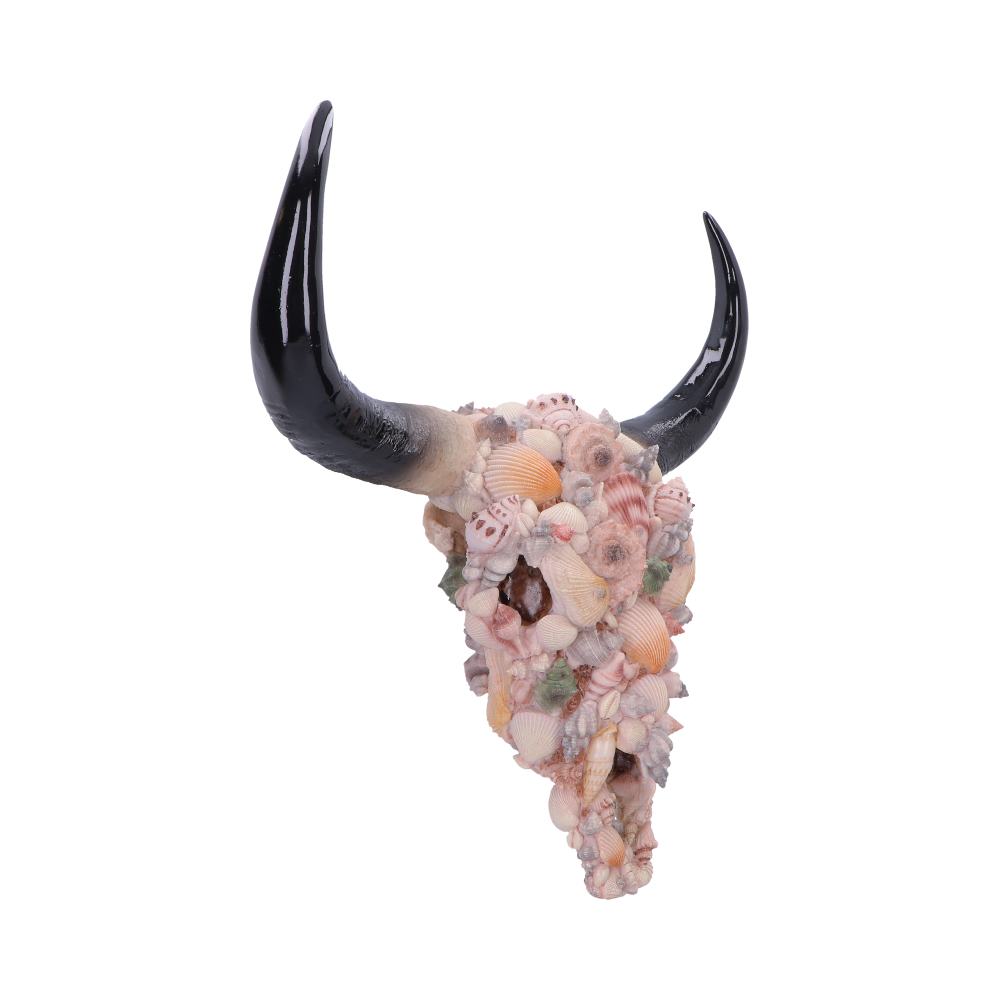 Ocean Crown Skull Ornament 44cm
