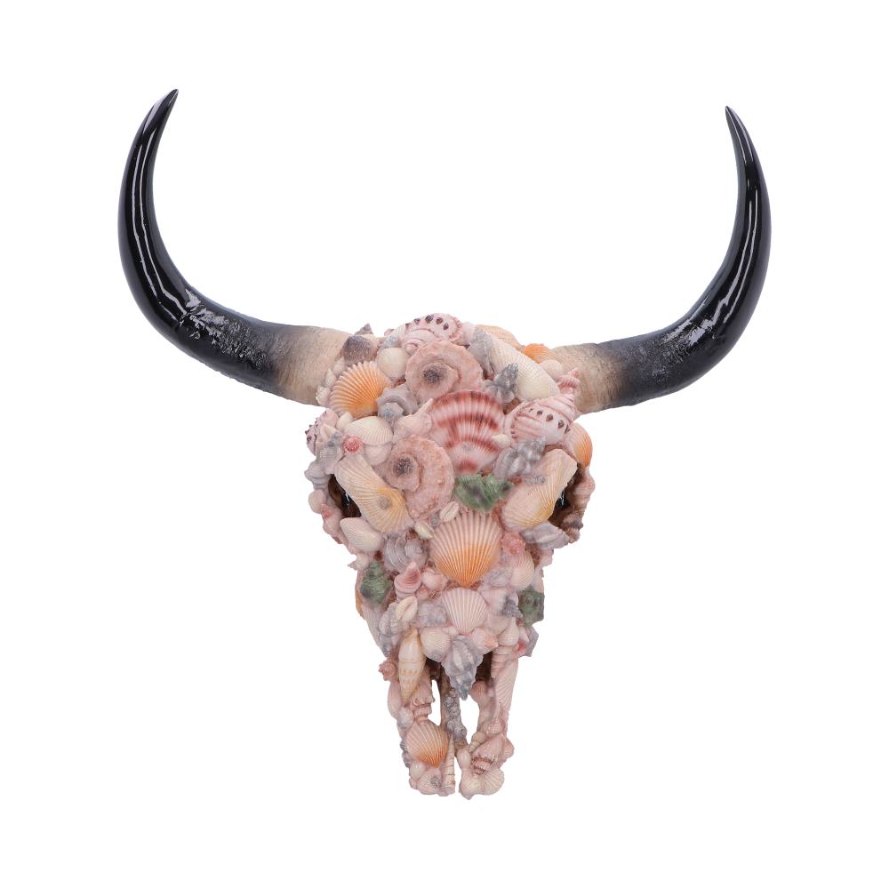 Ocean Crown Skull Ornament 44cm
