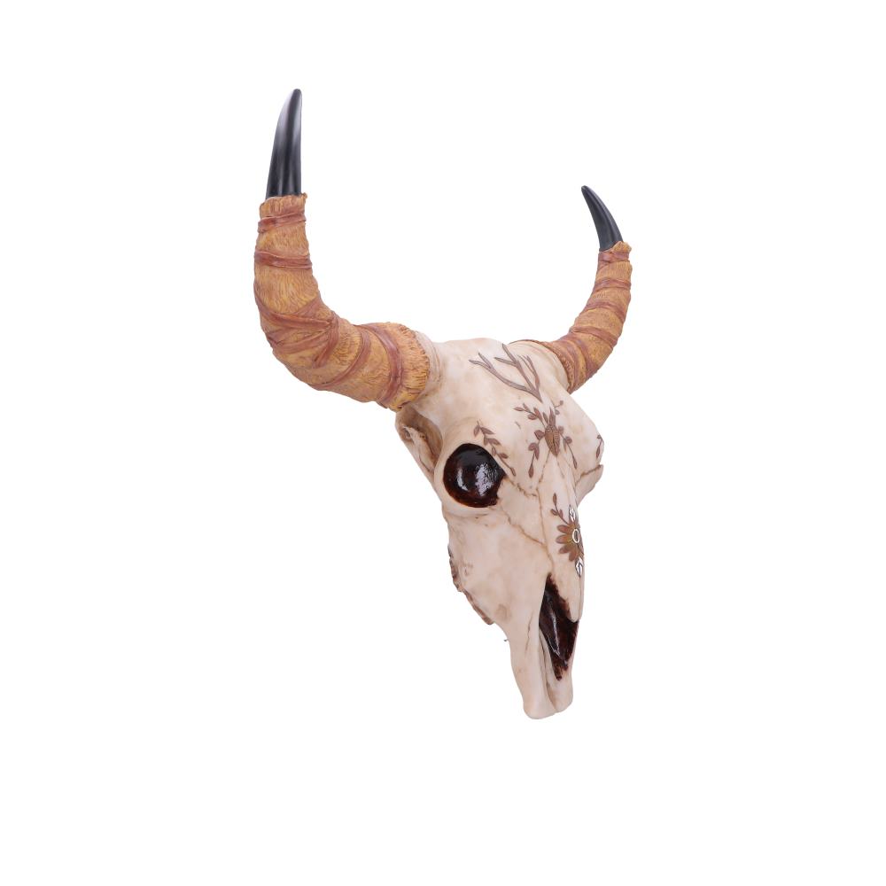 Spirit of the South Crown Skull Ornament 42.5cm