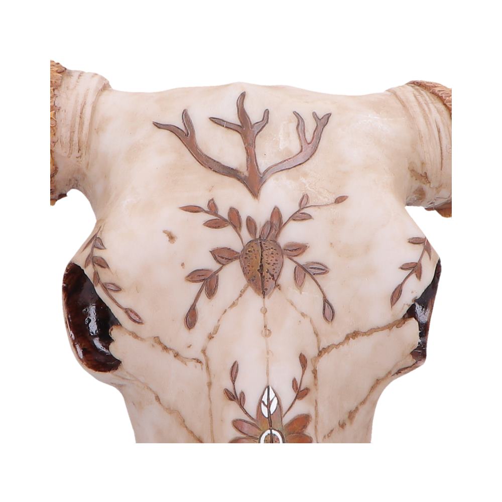 Spirit of the South Crown Skull Ornament 42.5cm