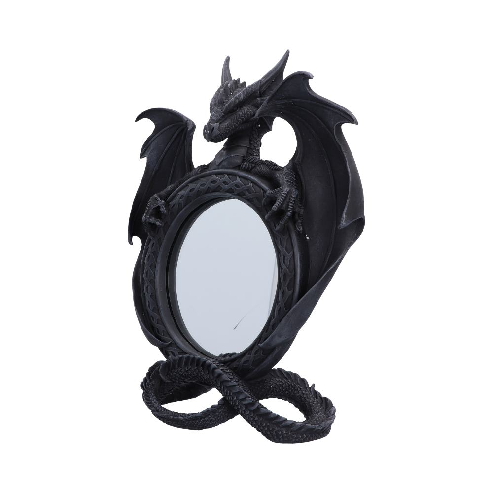 Darkwing Reflection Display Mirror 37.3cm