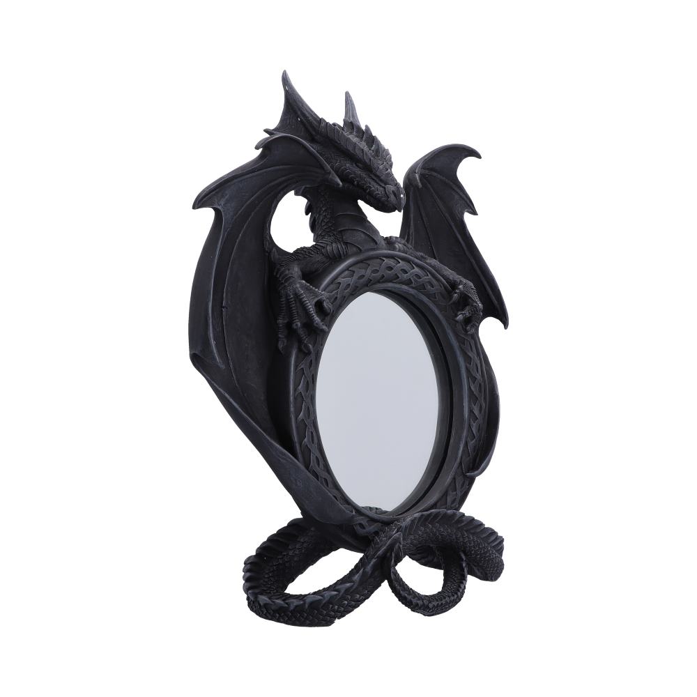 Darkwing Reflection Display Mirror 37.3cm