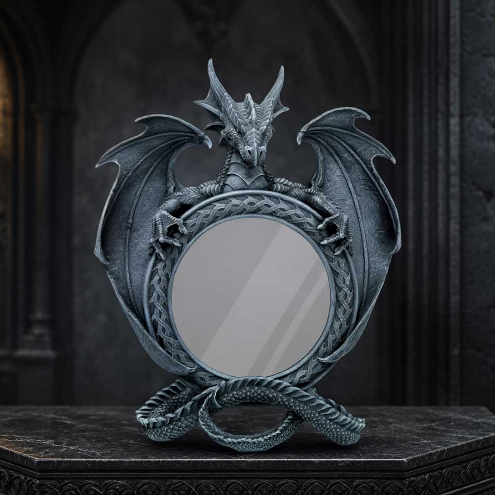 Darkwing Reflection Display Mirror 37.3cm