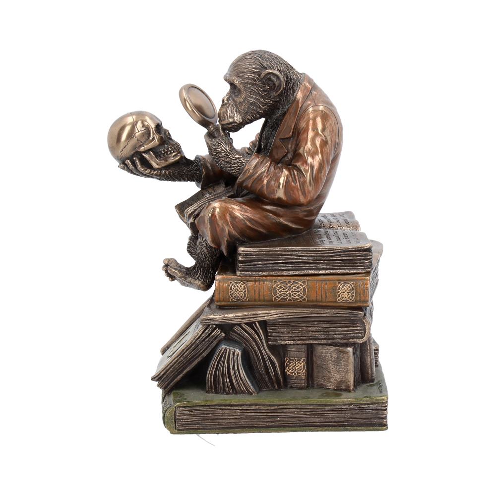 Darwinism of Evolutionary Theory Figurine Charles Darwin Chimpanzee Ornament
