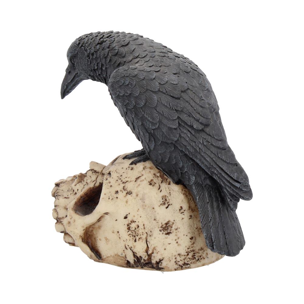 Raven Remains Figurine Crow Skull Gothic Ornament