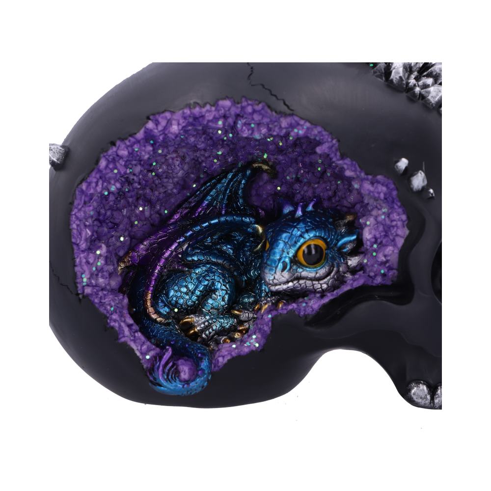 Crystal Cave Small Dragon Hiding within a Crystal Skull