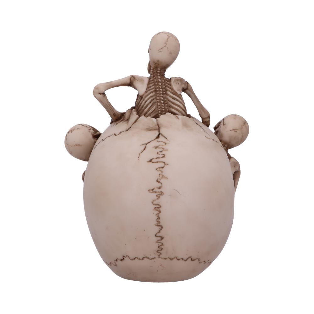 Breaking Free Skeleton Emerging from Skull Ornament 17.7cm