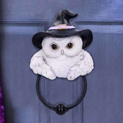 Snowy Owl Magic Door Knocker 21cm
