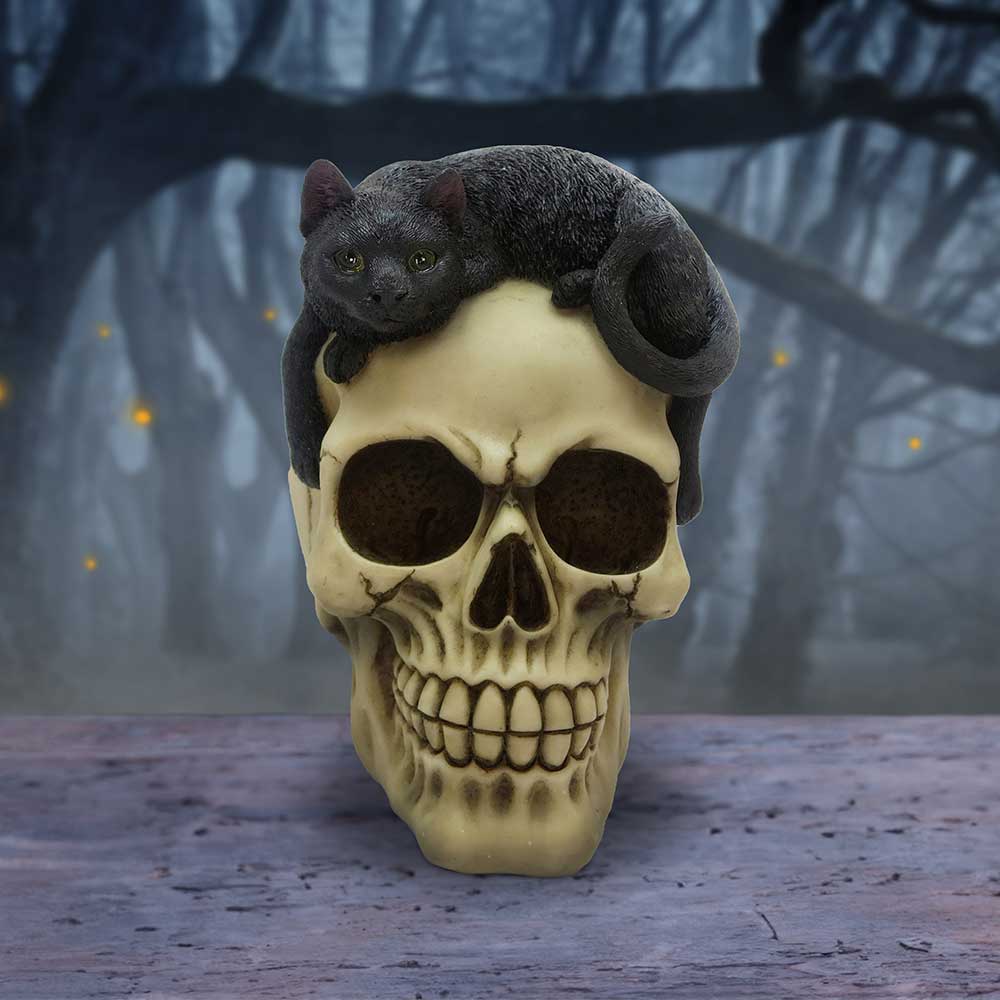 Forever Friend Black Cat Skull Head 14.5cm