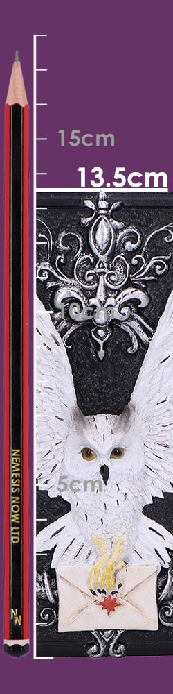 Owl Messenger Trinket Box