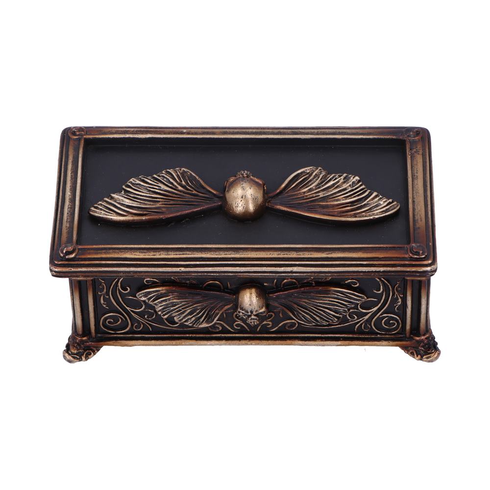 Death's Head Treasure Ornamental Box