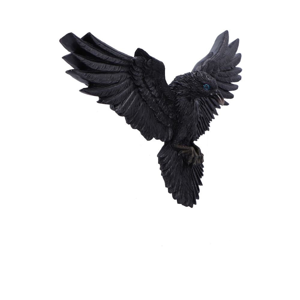 Flight of the Raven Wall Hanging Decoration