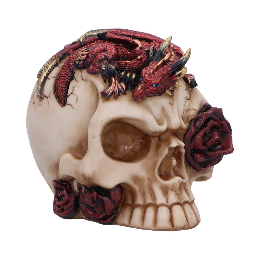 Rose Flame Decorative Skull With Sleeping Dragon