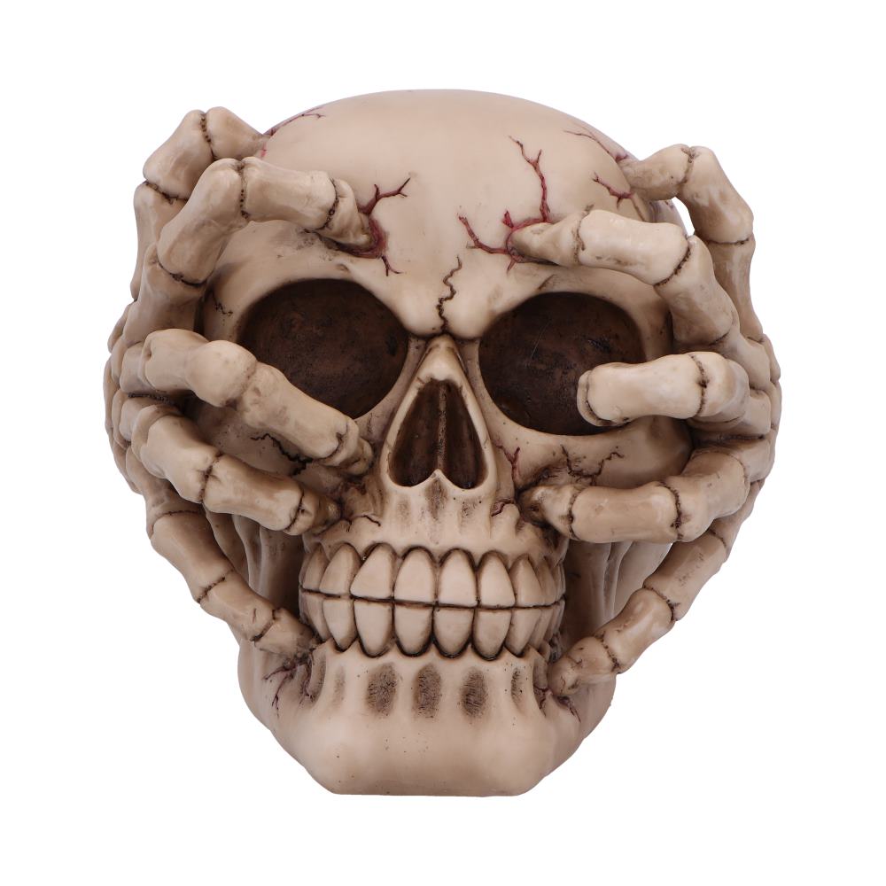 Cracked Decorative Resin Skull