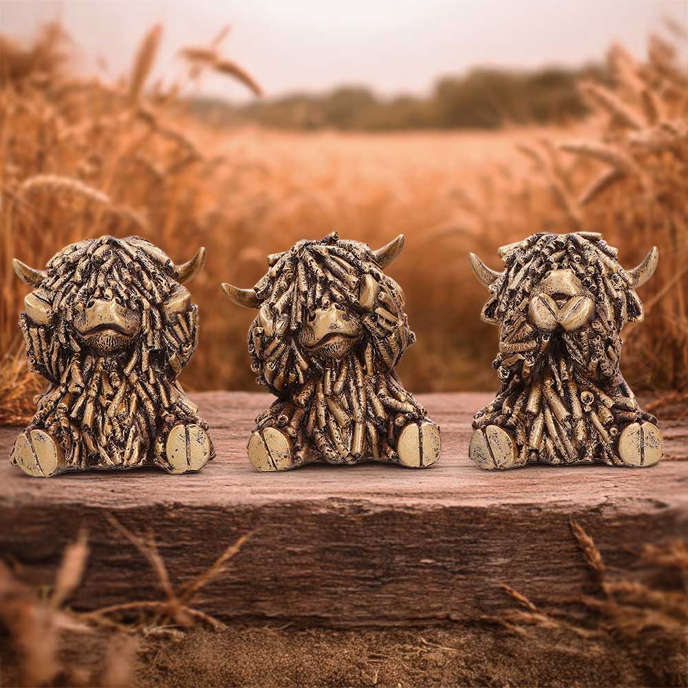 Three Wise Gold Highland Cows 7.5cm