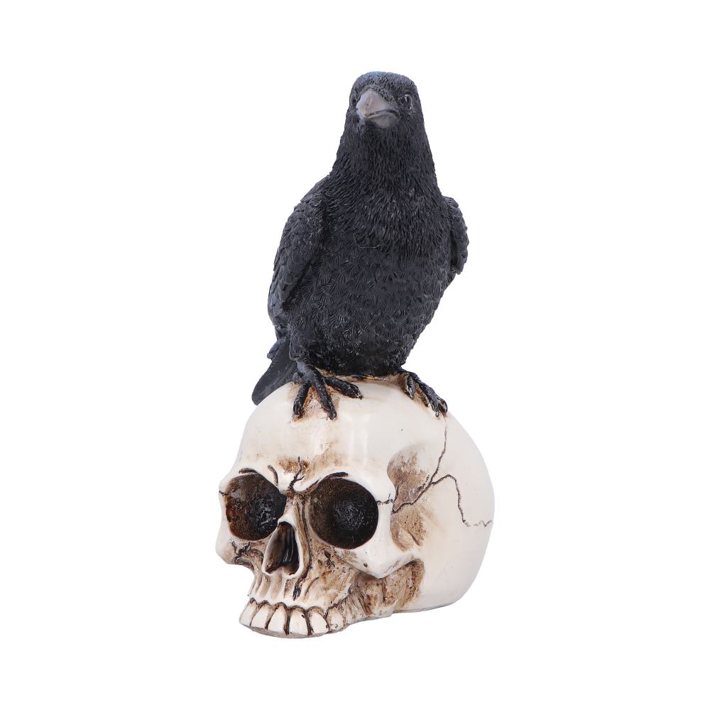 Raven Standing on Skull Figurine 19.5cm