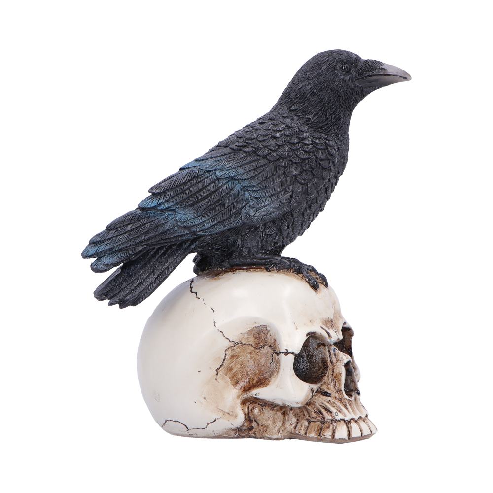 Raven Standing on Skull Figurine 19.5cm