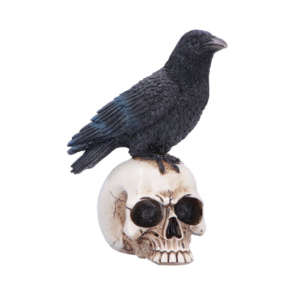 Raven Standing on Skull Figurine 19.5cm